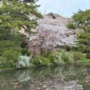 ヒメ日記 2026/04/01 10:02 投稿 ななみ（スレンダー可憐美女） おクンニ天国～Rising Group～