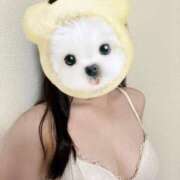 ヒメ日記 2025/09/24 08:30 投稿 しらゆき 無敵YOKOHAMA