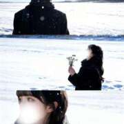 ヒメ日記 2026/01/22 07:45 投稿 しらゆき 無敵YOKOHAMA