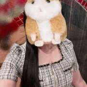 ヒメ日記 2026/01/25 11:41 投稿 しらゆき 無敵YOKOHAMA