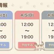 ヒメ日記 2026/04/03 21:54 投稿 めんま My Essentials