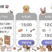 ヒメ日記 2026/04/06 23:41 投稿 めんま My Essentials