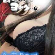 ヒメ日記 2025/12/01 12:11 投稿 紫季（しき） 丸妻 錦糸町店