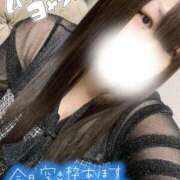 紫季（しき） つきました〜！ 丸妻 錦糸町店