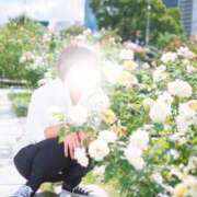 ヒメ日記 2026/02/11 12:05 投稿 ふたば 厚木人妻城