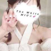 ヒメ日記 2025/10/02 22:03 投稿 みう The White