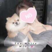 ヒメ日記 2025/10/17 09:57 投稿 みう The White