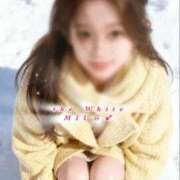 ヒメ日記 2025/11/27 11:22 投稿 みう The White