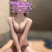 ヒメ日記 2025/11/19 17:47 投稿 四つ葉 ひかり バルボラ マリン