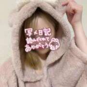 ヒメ日記 2025/12/14 18:17 投稿 四つ葉 ひかり バルボラ マリン