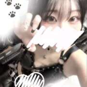 ヒメ日記 2025/10/31 12:19 投稿 みりあ ビアガーデンカーニバル