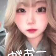 ヒメ日記 2025/12/15 00:22 投稿 みりあ ビアガーデンカーニバル