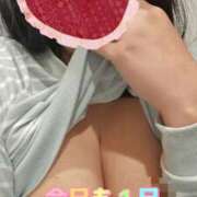 ヒメ日記 2026/02/06 07:47 投稿 なみ 妻天 日本橋店