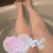 ヒメ日記 2026/04/01 05:08 投稿 なみ 妻天 日本橋店