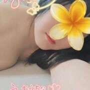 ヒメ日記 2026/04/03 05:03 投稿 なみ 妻天 日本橋店