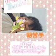 ヒメ日記 2026/04/09 05:06 投稿 なみ 妻天 日本橋店