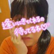 ヒメ日記 2026/04/11 17:04 投稿 なみ 妻天 日本橋店