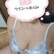 ヒメ日記 2026/04/26 19:05 投稿 なみ 妻天 日本橋店