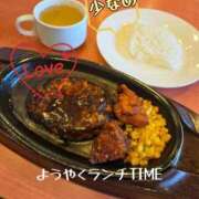 ヒメ日記 2026/09/29 15:04 投稿 なみ 妻天 日本橋店