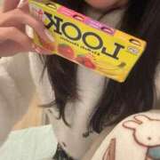 ヒメ日記 2025/12/29 20:33 投稿 りさ 千姫(道後)