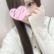 みどり みどり（スピード日本橋店） スピード日本橋店