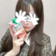 みどり みどり（スピード日本橋店） スピード日本橋店