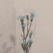 ヒメ日記 2026/03/26 19:45 投稿 くるみ 奥鉄オクテツ東京店（デリヘル市場）