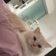 ヒメ日記 2025/12/20 01:01 投稿 かんな Linda＆Linda(リンダリンダ)