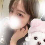 ヒメ日記 2026/02/23 03:14 投稿 さき★高学歴初心なエリートOL Bell～S級美女お姉様・人妻デリヘル～