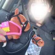 ヒメ日記 2026/03/01 17:14 投稿 さき★高学歴初心なエリートOL Bell～S級美女お姉様・人妻デリヘル～