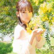 ヒメ日記 2026/03/26 09:05 投稿 さき★高学歴初心なエリートOL Bell～S級美女お姉様・人妻デリヘル～