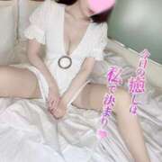 ヒメ日記 2025/10/14 10:21 投稿 ふうた ESSENCE