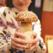 ヒメ日記 2025/10/15 09:20 投稿 ふうた ESSENCE