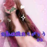 ヒメ日記 2025/11/18 11:58 投稿 美麻(みま) 人妻出逢い会 百合の園 品川店