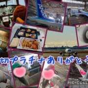 美麻(みま) 昨日も貸切プラチナありがとうございました☺️ 人妻出逢い会 百合の園 品川店