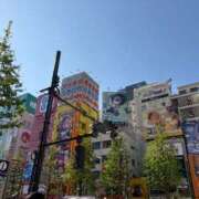 ヒメ日記 2025/11/13 08:48 投稿 ましろ サクラ（すすきの）