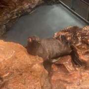 ヒメ日記 2025/11/03 19:29 投稿 白雪(しらゆき) 丸妻 錦糸町店