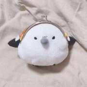 ヒメ日記 2026/02/16 18:05 投稿 なごみ 熟女の風俗最終章 錦糸町店