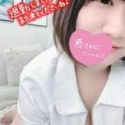 ヒメ日記 2025/11/22 01:14 投稿 とわ 谷町豊満奉仕倶楽部