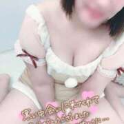 ヒメ日記 2025/12/29 14:54 投稿 とわ 谷町豊満奉仕倶楽部