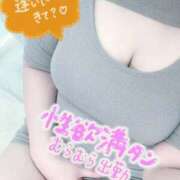 ヒメ日記 2026/01/08 08:14 投稿 とわ 谷町豊満奉仕倶楽部