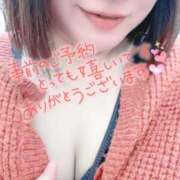 ヒメ日記 2026/01/27 14:44 投稿 とわ 谷町豊満奉仕倶楽部