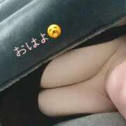 ヒメ日記 2026/01/30 10:24 投稿 とわ 谷町豊満奉仕倶楽部