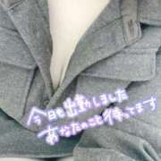 ヒメ日記 2026/02/24 11:34 投稿 とわ 谷町豊満奉仕倶楽部