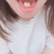ヒメ日記 2026/07/14 15:54 投稿 とわ 谷町豊満奉仕倶楽部