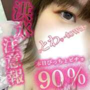 ヒメ日記 2026/08/20 12:04 投稿 とわ 谷町豊満奉仕倶楽部
