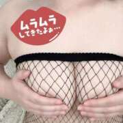 ヒメ日記 2025/10/07 14:20 投稿 とわ 谷町人妻熟女奉仕倶楽部