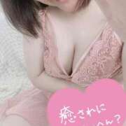 ヒメ日記 2025/10/09 15:20 投稿 とわ 谷町人妻熟女奉仕倶楽部