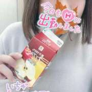 ヒメ日記 2025/11/21 12:00 投稿 とわ 谷町人妻熟女奉仕倶楽部