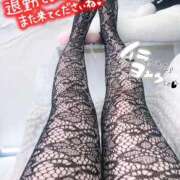 ヒメ日記 2026/01/10 03:20 投稿 とわ 谷町人妻熟女奉仕倶楽部